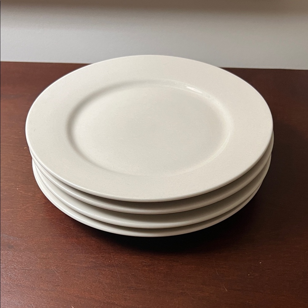 Dining Classics Stoneware Salad Plates (set of 4)